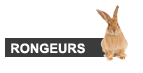 Rongeurs